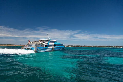 Rottnest Island All-Inclusive Grand Island Tour From Fremantle - Accommodation ACT 7