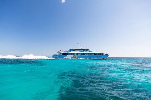 Rottnest Island Bayseeker Day Trip From Fremantle - Accommodation ACT 5
