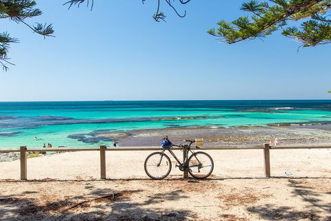 Rottnest Island Bayseeker Day Trip From Fremantle - Accommodation ACT 7