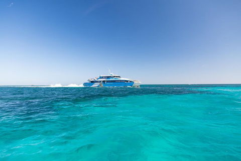 Rottnest Island Skydive Including Round Trip Ferry From Fremantle - Accommodation ACT 8