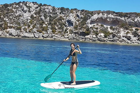 Rottnest Island Sailing Charter - Accommodation ACT 1