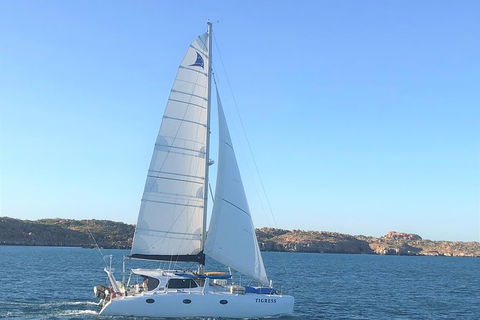 Rottnest Island Sailing Charter - Accommodation ACT 0
