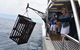 Rottnest Island Wild Seafood Package With Round Trip Ferry From Fremantle - thumb 1