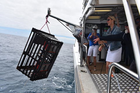 Rottnest Island Wild Seafood Package With Round Trip Ferry From Fremantle - Accommodation ACT 1