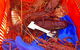 Rottnest Island Wild Seafood Package With Round Trip Ferry From Fremantle - thumb 6