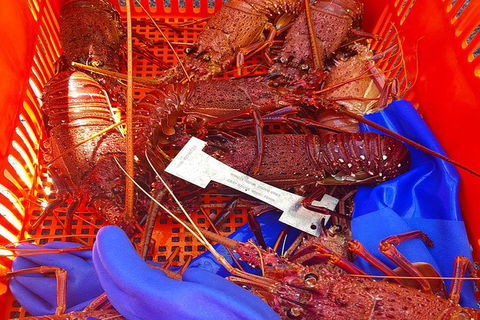 Rottnest Island Wild Seafood Package With Round Trip Ferry From Fremantle - Accommodation ACT 6