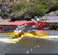 Kalgan Queen Scenic Cruises a four hour sheltered water wildlife tour daily fun. - Accommodation ACT