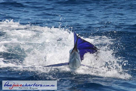 Montebello Island Fishing Charters - Accommodation ACT 6