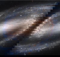 Dusk to Dawn Astronomy Experience at Bullara Station Stay - Accommodation ACT