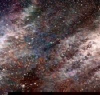 Overnight Astronomy Experience Ningaloo - Yardie Homestead - Accommodation ACT