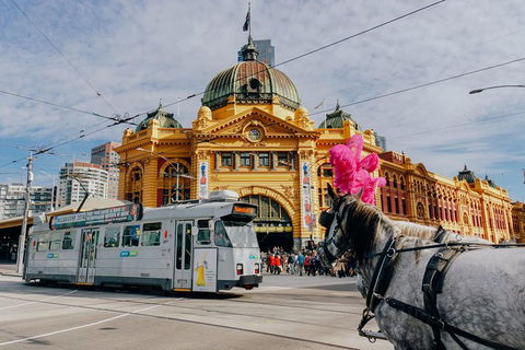 A Full Day In Melbourne With A Local: Private & Personalized - Accommodation ACT 9