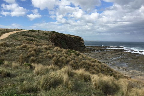 George Bass Coastal Walk - Accommodation ACT 8