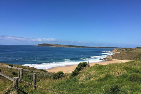 George Bass Coastal Walk - Accommodation ACT 5