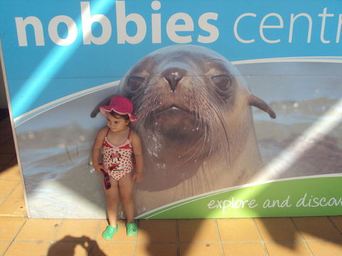 Phillip Island 3 Park Pass: Penguin Parade, Koala Conservation Centre And Penguin Parade, Koala ConservationHeritage Farm - Accommodation ACT 3