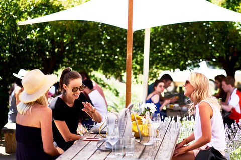 Montalto Vineyard: Mornington Peninsula Discovery Wine Tasting And Lunch - Accommodation ACT 3