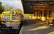 Steam Train, Yarra Valley & Healesville Wildlife Sanctuary Full Day Tour - thumb 6