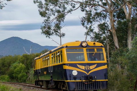 Steam Train, Yarra Valley & Healesville Wildlife Sanctuary Full Day Tour - Accommodation ACT 3
