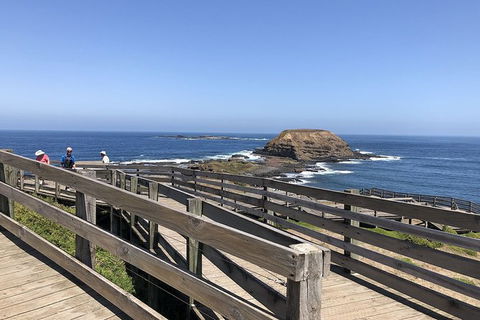 Day Tour Of Phillip Island, The Surrounding Region And Wine Tasting - Accommodation ACT 14