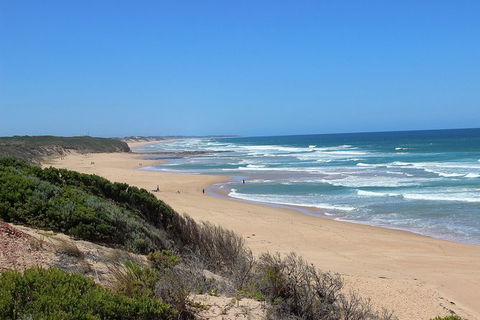 Day Tour Of Phillip Island, The Surrounding Region And Wine Tasting - Accommodation ACT 5