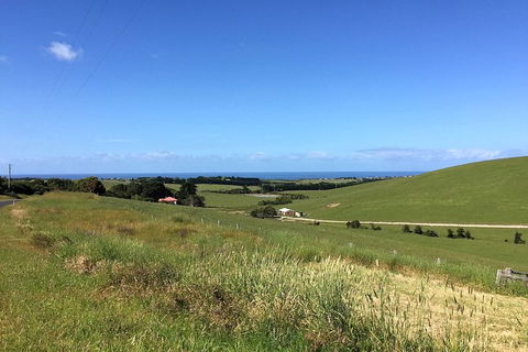 Day Tour Of Phillip Island, The Surrounding Region And Wine Tasting - Accommodation ACT 6