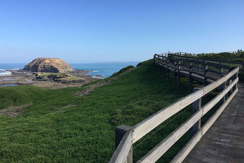 Day Tour Of Phillip Island, The Surrounding Region And Wine Tasting - Accommodation ACT 11