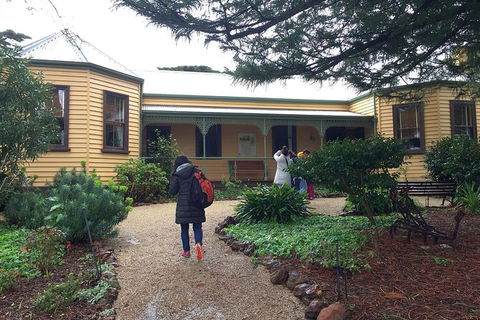 Day Tour Of Phillip Island, The Surrounding Region And Wine Tasting - Accommodation ACT 12