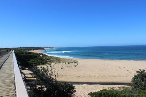 Day Tour Of Phillip Island, The Surrounding Region And Wine Tasting - Accommodation ACT 4