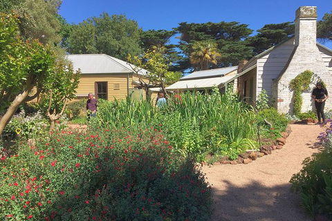 Phillip Island Tour Including Phillip Island Penguin Parade - Accommodation ACT 9