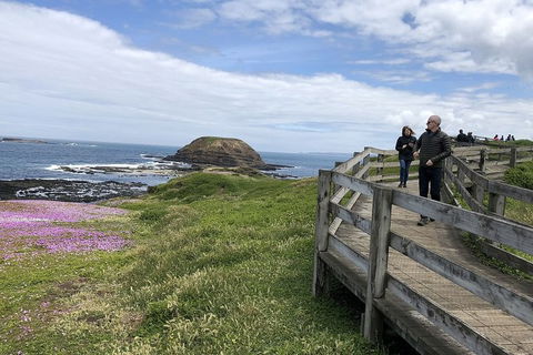 Phillip Island Tour Including Phillip Island Penguin Parade - Accommodation ACT 10