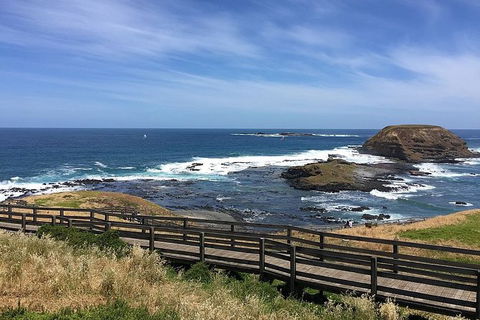 Phillip Island Tour Including Phillip Island Penguin Parade - Accommodation ACT 6