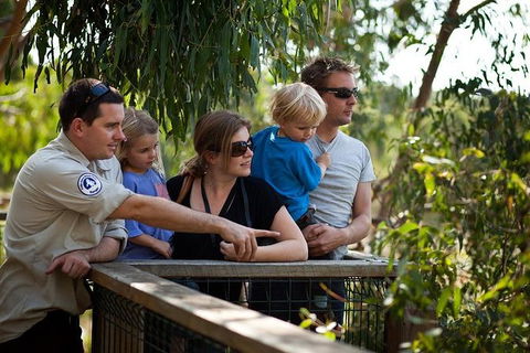 Phillip Island Koala Conservation Centre: Entry Ticket - Accommodation ACT 1