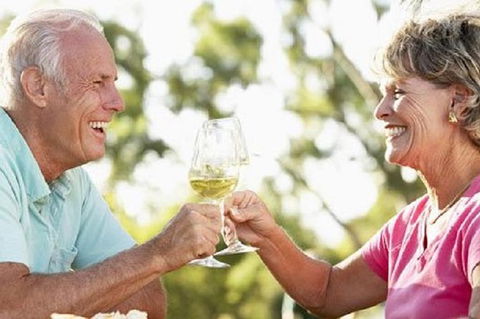 Phillip Island Wine Experience Tour - Accommodation ACT 1