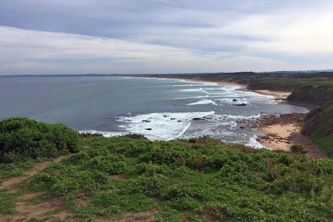 Half Day Phillip Island Woolamai Walking Tour - Accommodation ACT 0