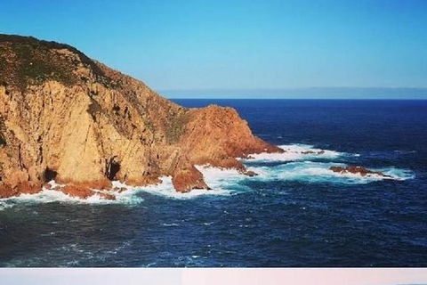 Half Day Phillip Island Woolamai Walking Tour - Accommodation ACT 1