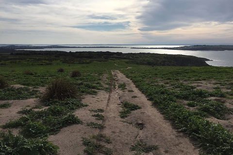 Half Day Phillip Island Woolamai Walking Tour - Accommodation ACT 8