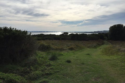 Half Day Phillip Island Woolamai Walking Tour - Accommodation ACT 4