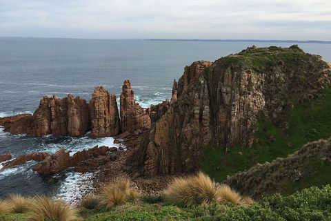 Half Day Phillip Island Woolamai Walking Tour - Accommodation ACT 16