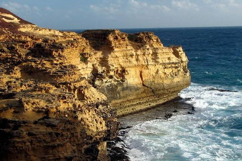 Half Day Phillip Island Woolamai Walking Tour - Accommodation ACT 12