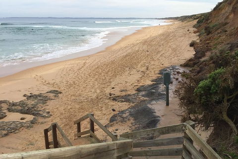 Half Day Phillip Island Woolamai Walking Tour - Accommodation ACT 11