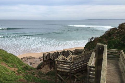 Half Day Phillip Island Woolamai Walking Tour - Accommodation ACT 5
