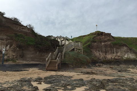 Half Day Phillip Island Woolamai Walking Tour - Accommodation ACT 14