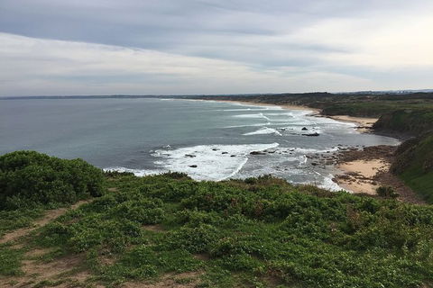 Half Day Phillip Island Woolamai Walking Tour - Accommodation ACT 10