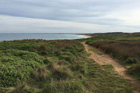 Half Day Phillip Island Woolamai Walking Tour - Accommodation ACT 3