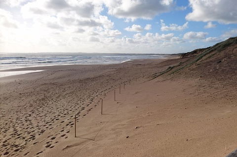 Half Day Phillip Island Woolamai Walking Tour - Accommodation ACT 7