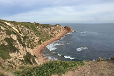 Half Day Phillip Island Woolamai Walking Tour - Accommodation ACT 2