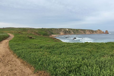 Half Day Phillip Island Woolamai Walking Tour - Accommodation ACT 9