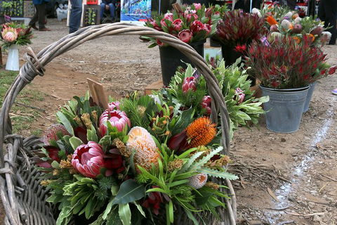 Mornington Peninsula Markets Shuttle By Boat From Phillip Island - Accommodation ACT 1