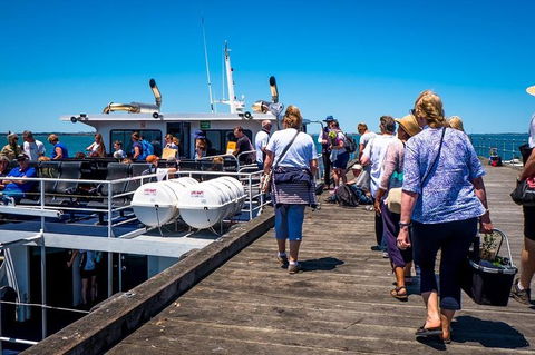 Mornington Peninsula Markets Shuttle By Boat From Phillip Island - Accommodation ACT 8