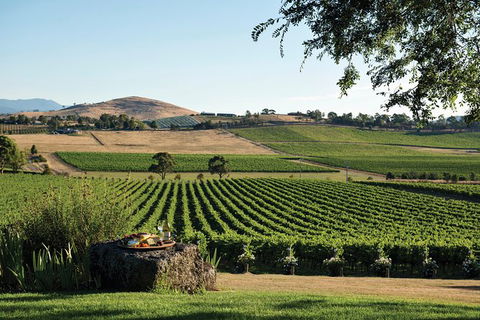 Small Group 6 Guests: Ultimate Yarra Valley Food And Wine - Mercedes Van - Accommodation ACT 5