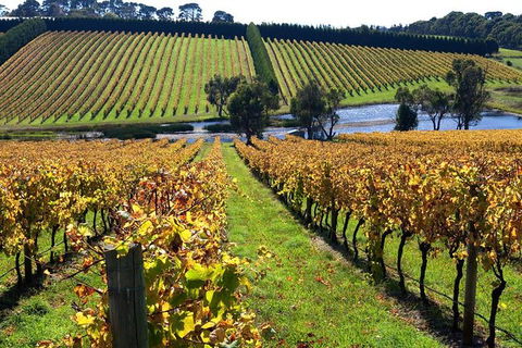 Small Group 6 Guests: Ultimate Mornington Peninsula Food And Wine - Accommodation ACT 3